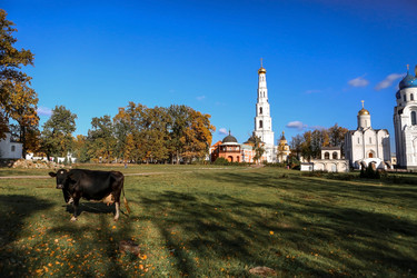 Similar image 21328906