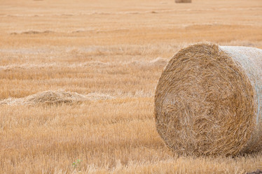 Similar image 21328907