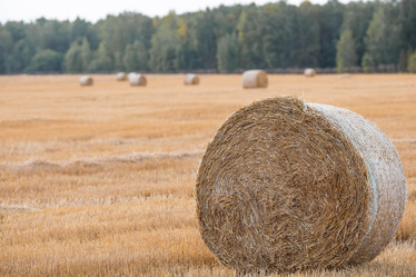 Similar image 21328913