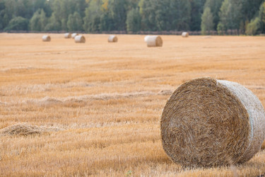 Similar image 21329276