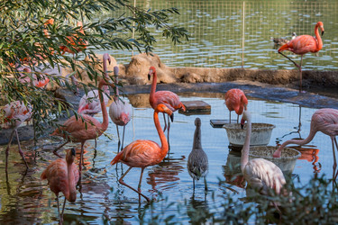 Similar image 21329658