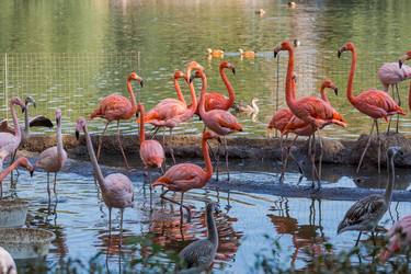 Similar image 21329659