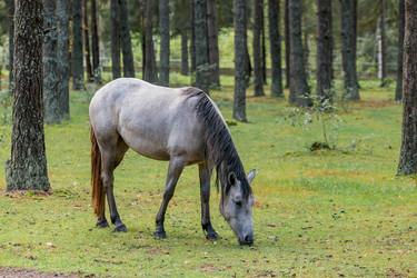 Similar image 21329488