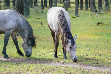 Similar image 21329489