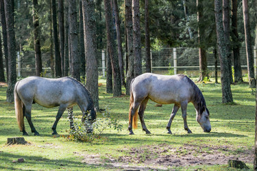 Similar image 21329490