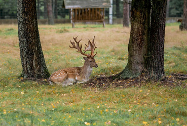 Similar image 21329491