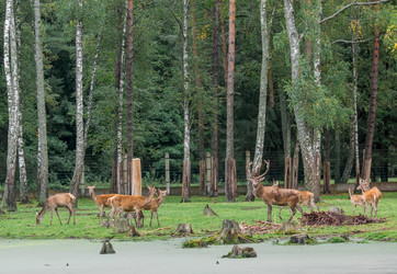 Similar image 21329493