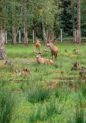 Similar image 21329494