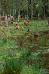 Similar image 21329495