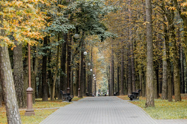 Similar image 21328916