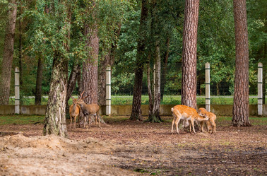 Similar image 21328917