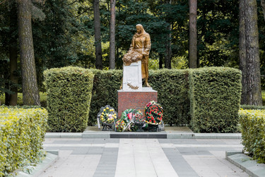 Similar image 21329496