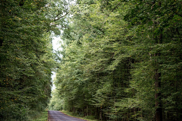 Similar image 21328920