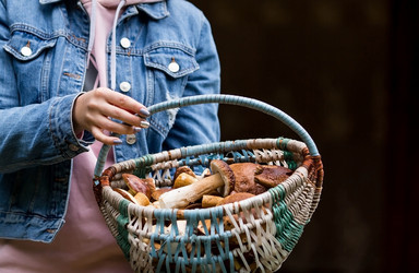 Similar image 21328928