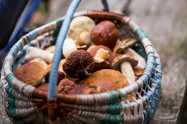 Similar image 21328930