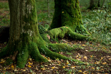 Similar image 21328933