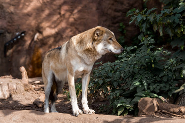 Similar image 21329982