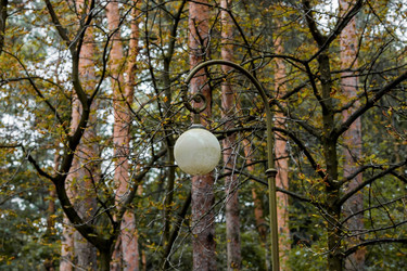 Similar image 21328937