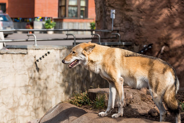 Similar image 21328938