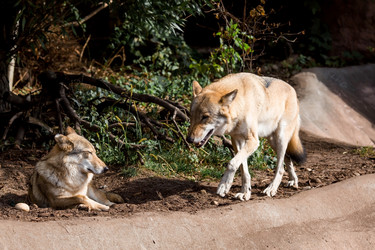 Similar image 21328940