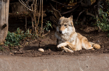 Similar image 21329983