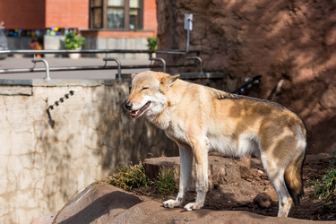 Similar image 21329986