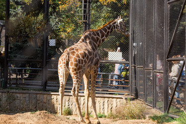 Similar image 21329303