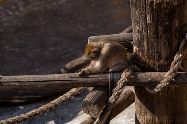 Similar image 21329310