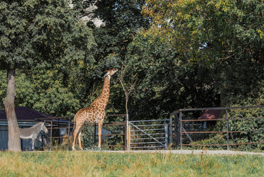 Similar image 21329311