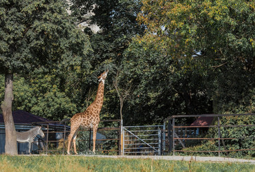 Similar image 21329312