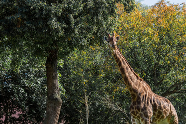 Similar image 21329314