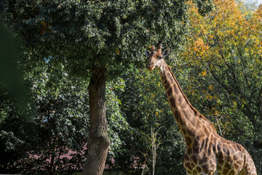 Similar image 21329317