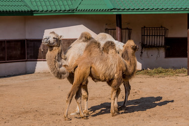 Similar image 21329991