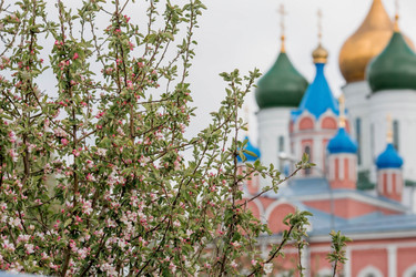 Similar image 21329320