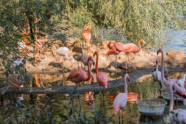 Similar image 21329324