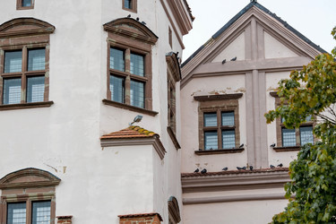 Similar image 21329992