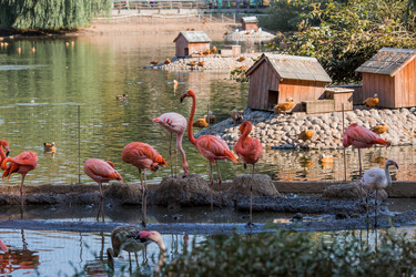 Similar image 21329327