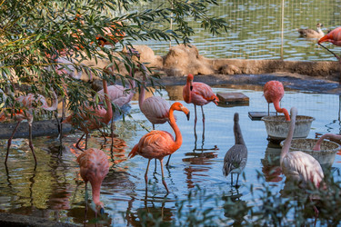 Similar image 21329994