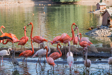 Similar image 21329329