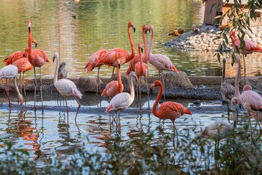 Similar image 21329331