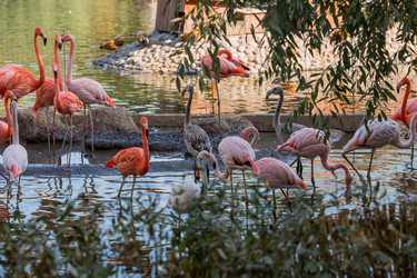 Similar image 21329335