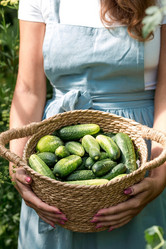 Similar image 21329349