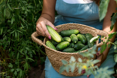 Similar image 21329351