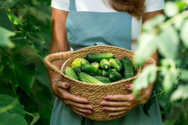 Similar image 21329355