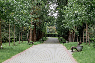 Similar image 21329357