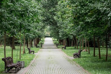 Similar image 21329358