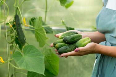 Similar image 21329360