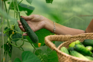 Similar image 21329363