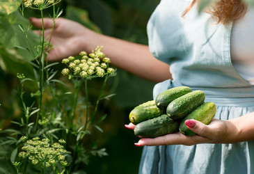 Similar image 21329364