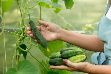 Similar image 21329377